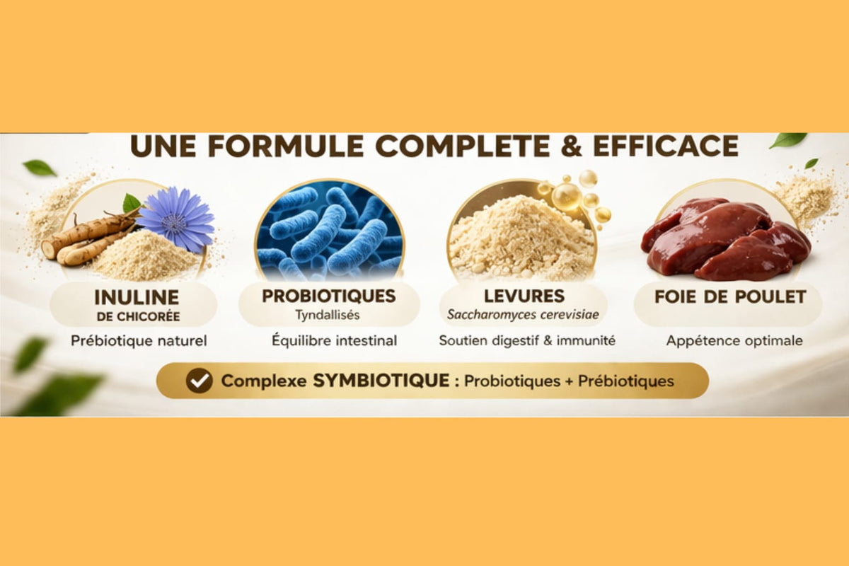 Probiotiques pour chiens et chats