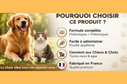 Probiotiques pour chiens et chats